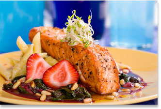 Salmon