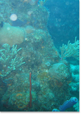 Under Water