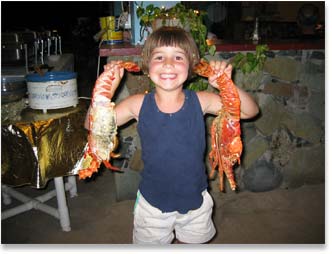 Boy & Lobster