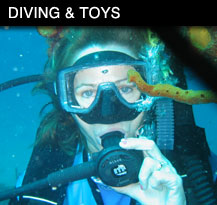 Diving and Toys