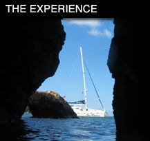 The Experience