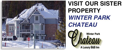 Winter Chateau